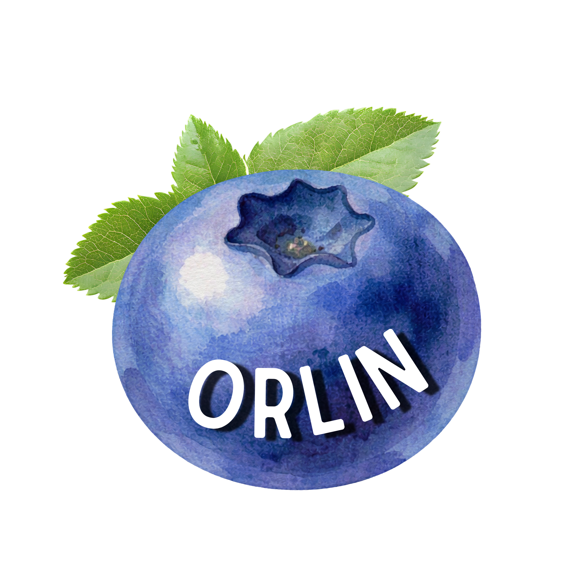 Orlin Studio hand-painted blueberry logo
